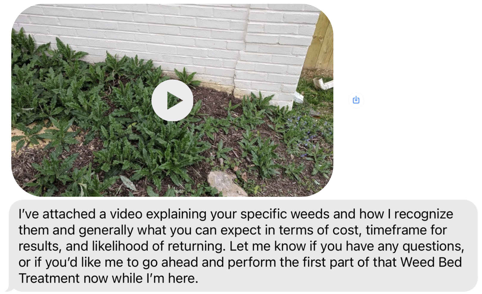 lawn care advisor sending a video via SMS MMS to show customer weeding options and review service costs and information